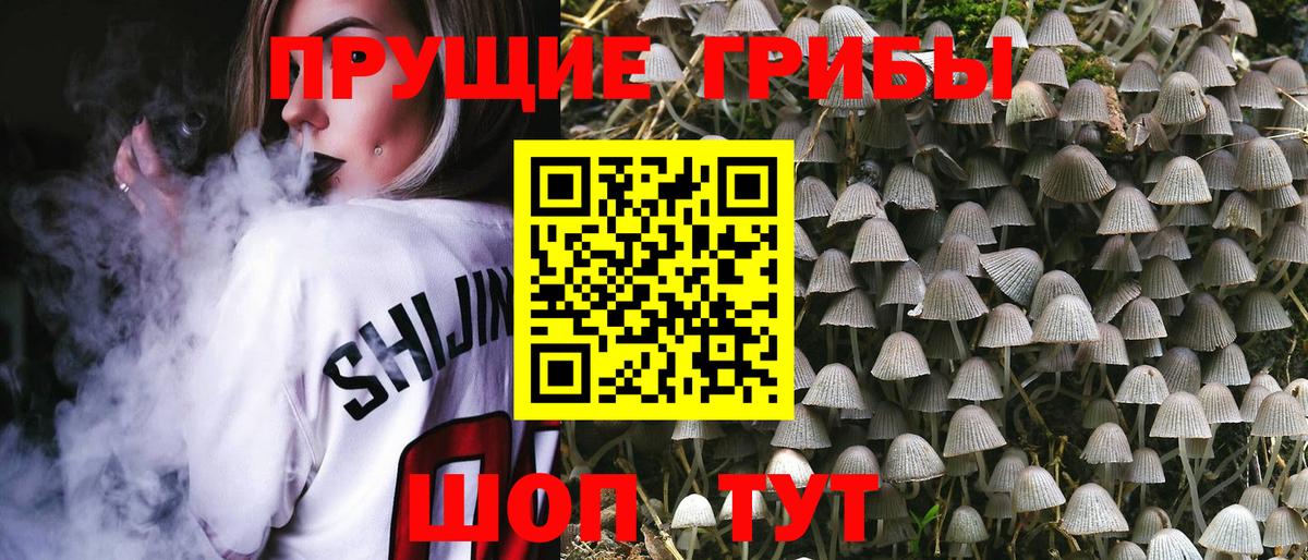 Псилоцибиновые грибы MAGIC MUSHROOMS Трёхгорный