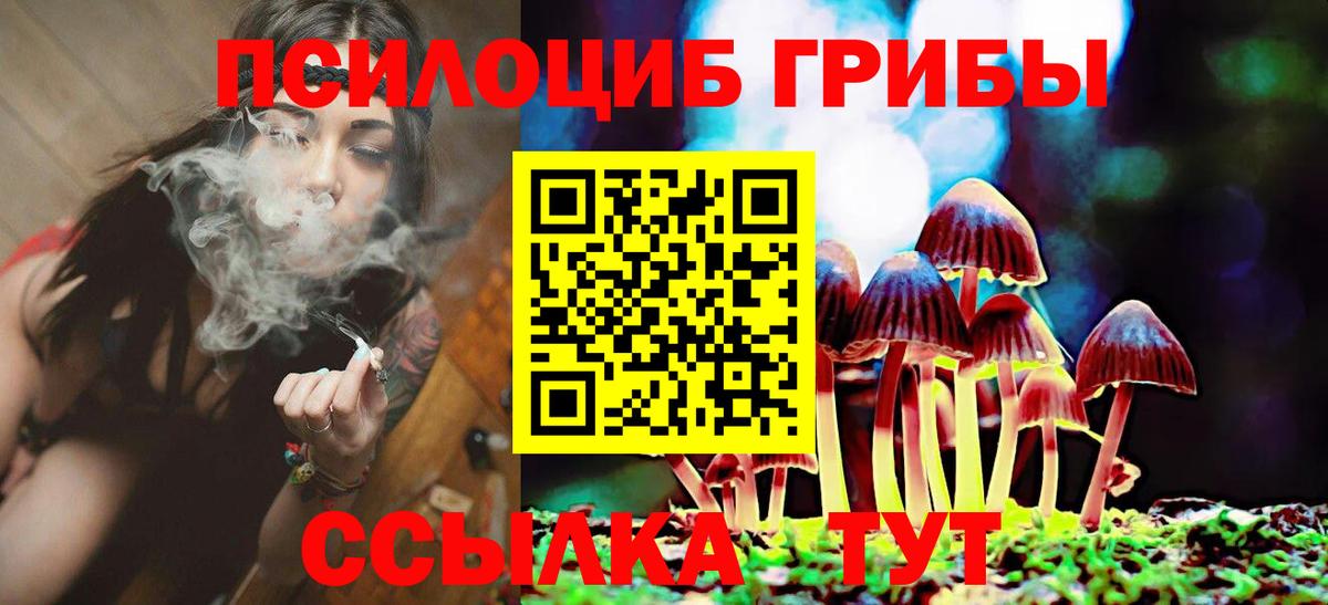Галлюциногенные грибы MAGIC MUSHROOMS  Вход с VPN  Галлюциногенные грибы Cubensis  Трёхгорный 
